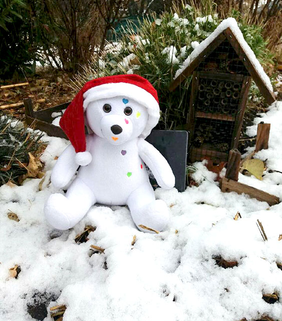 Doudou Zen sous la neige